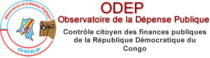 "Magouille financière à Transco", l'ODEP répond coup sur coup à José Makila