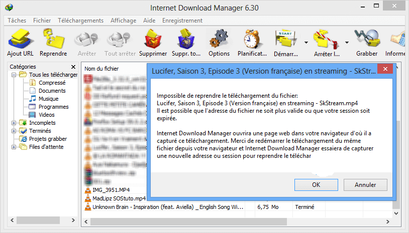 reprendre telechargement dans idm Comment reprendre un téléchargement interrompu dans IDM