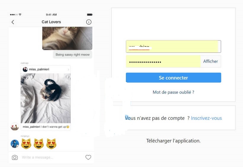 Connexion Instagram Comment Supprimer un Compte Instagram sur iPhone /Android /PC sans application