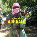 ADF - NALU : Comprendre le fonctionnement des ADF - NALU, leur financement, leur mode opératoire, les meurtres, les attaques,...(Interview)