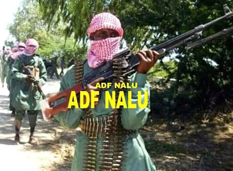 ADF - NALU : Comprendre le fonctionnement des ADF - NALU, leur financement, leur mode opératoire, les meurtres, les attaques,...(Interview)