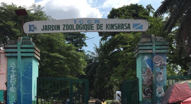 Que reste-t-il encore du Jardin zoologique de Kinshasa ?
